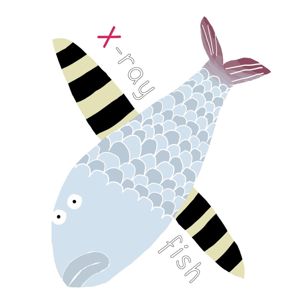 X-ray Fish Alphabet by Carla Daly — canvas wall art