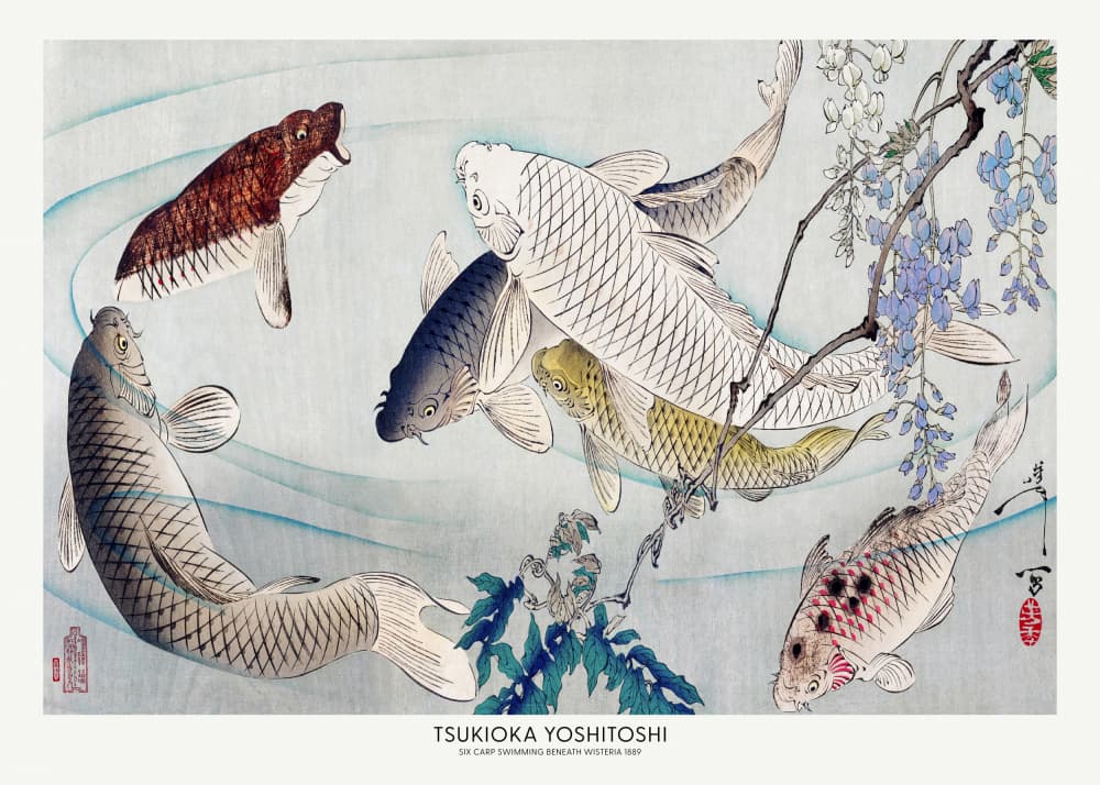 Six Carp Swimming Beneath Wisteria (1889) by Tsukioka Yoshitoshi — canvas wall art