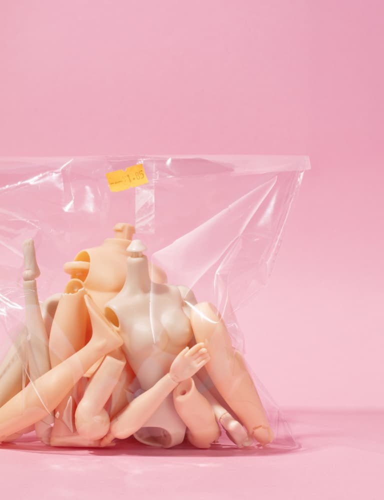Doll Parts In Bag by Julia Ramiro — canvas wall art