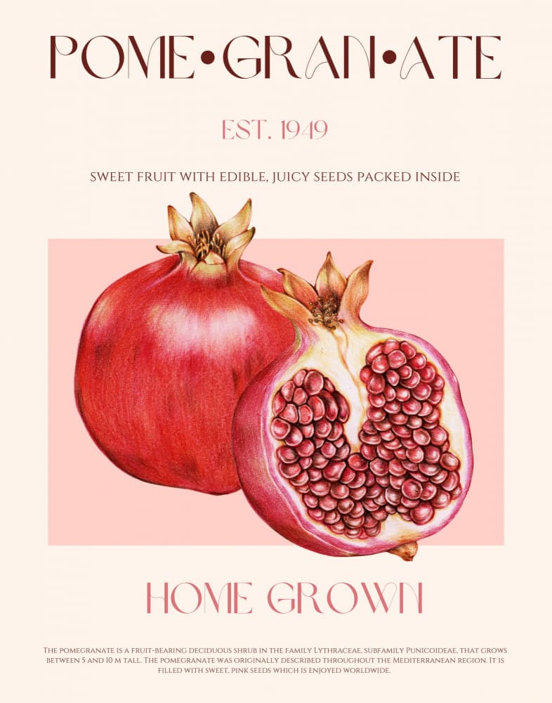 Home Grown Pomegranates by Nazma Khokhar — canvas wall art