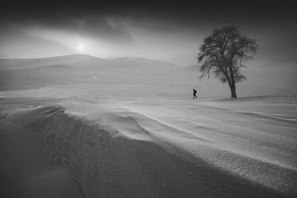 Solitary Figure Winter Landscape by Bingo Z — canvas wall art