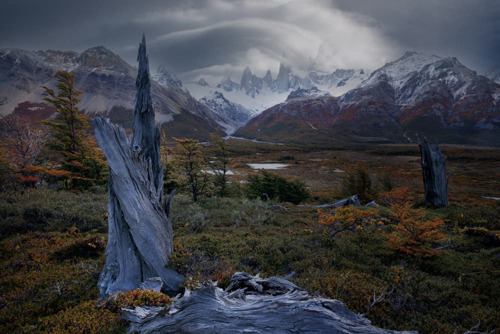 Moody Mountain Wilderness by YANGYING — canvas wall art