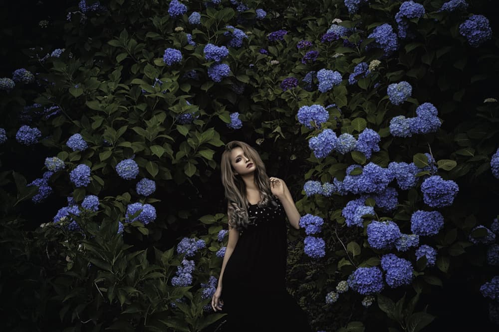 Woman In Blue Hydrangeas by KOIKI — canvas wall art
