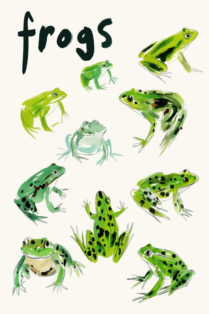 Lively Green Frogs by Treechild — canvas wall art