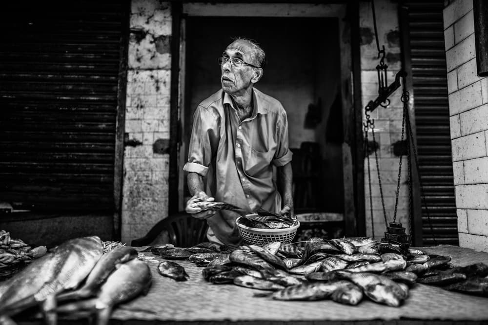 Elderly Fishmonger's Gaze by Marco Tagliarino — canvas wall art