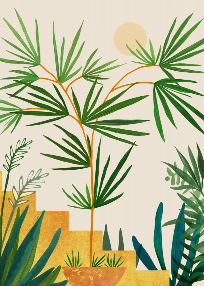 Desert Spring by Kristian Gallagher — canvas wall art