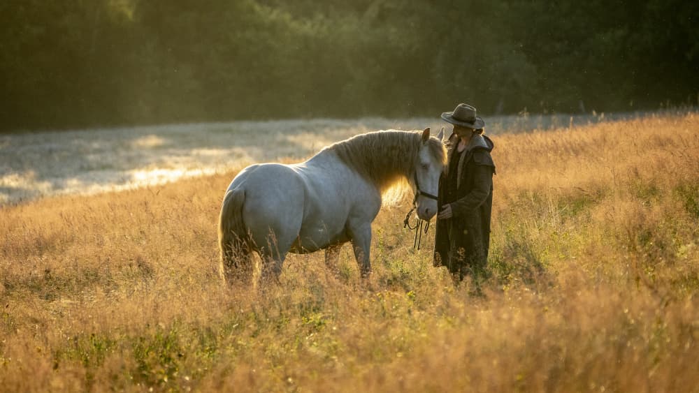 Golden Field Companions by Cembrzynski Ignacy — canvas wall art