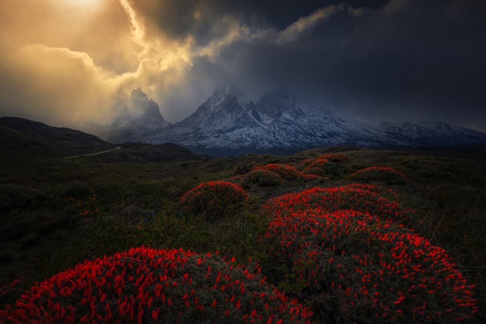 Dramatic Peaks Red Bloom by Ruiqing P. — canvas wall art