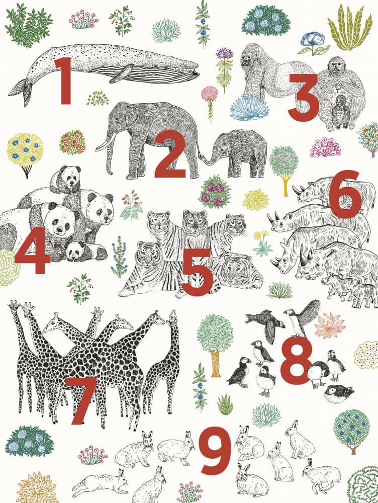 World Of Animals Illustration by Kasia Walentynowicz — canvas wall art