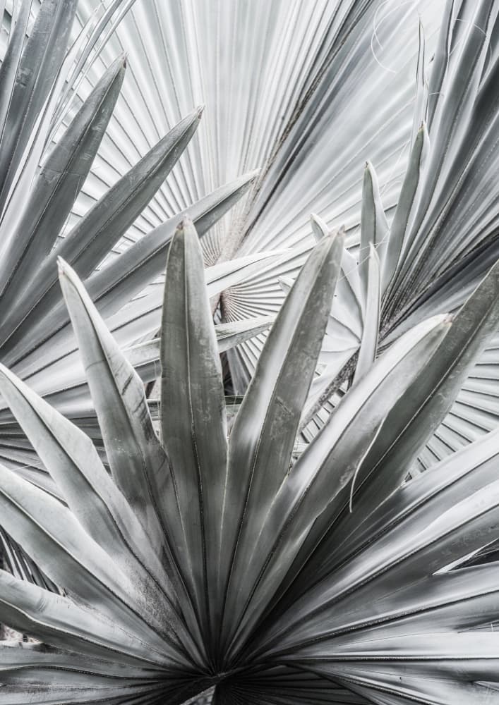 Silver Spray by Shot by Clint — canvas wall art