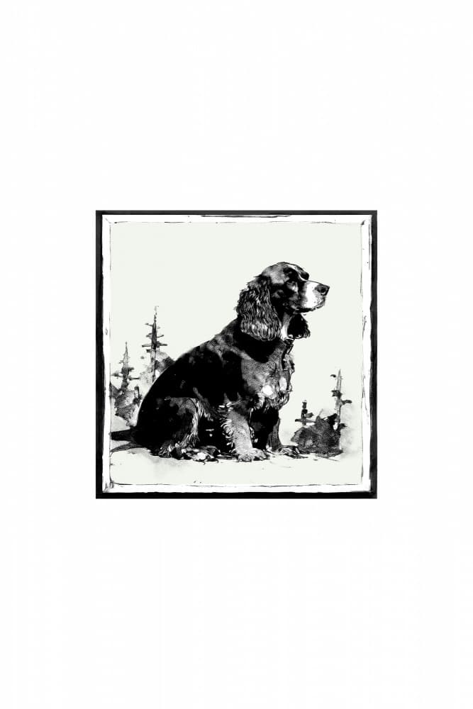Noble Cocker Spaniel by casa cartissi — canvas wall art
