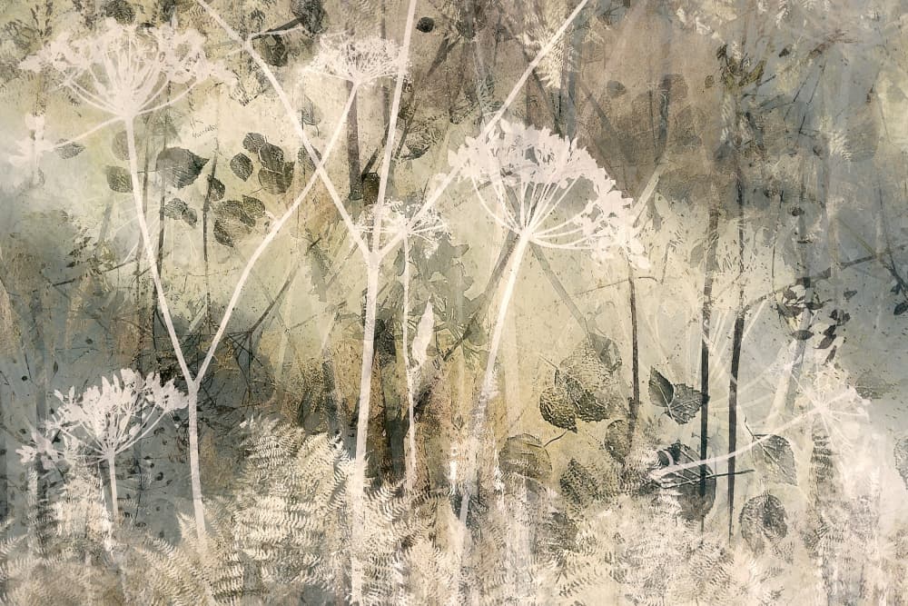 Herbal field by Nel Talen — canvas wall art