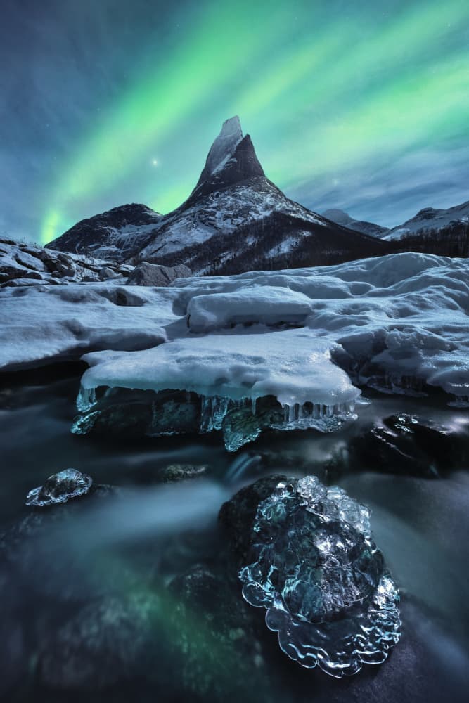 The Coronation by Stefan Hefele — canvas wall art