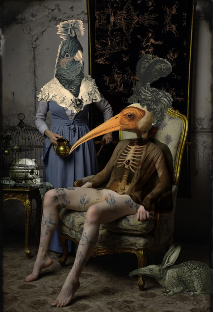 Surreal Bird Figures by Pascal Bouchet-Spiegel — canvas wall art