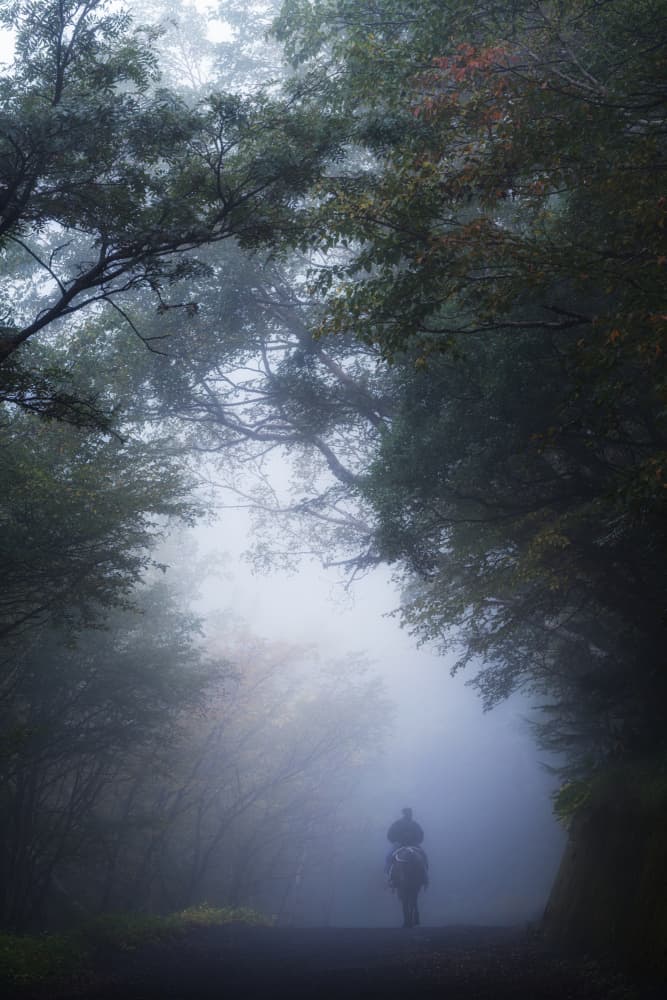 Misty Forest Horse Rider by Satoshi Hatsumori — canvas wall art
