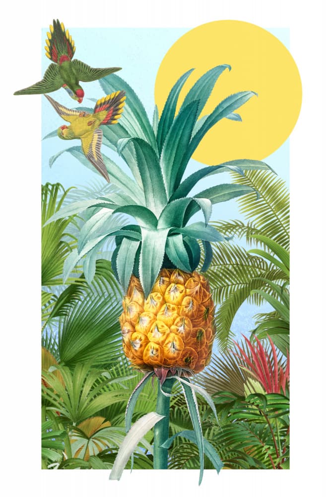 Vibrant Tropical Pineapple by Marja van den Hurk — canvas wall art