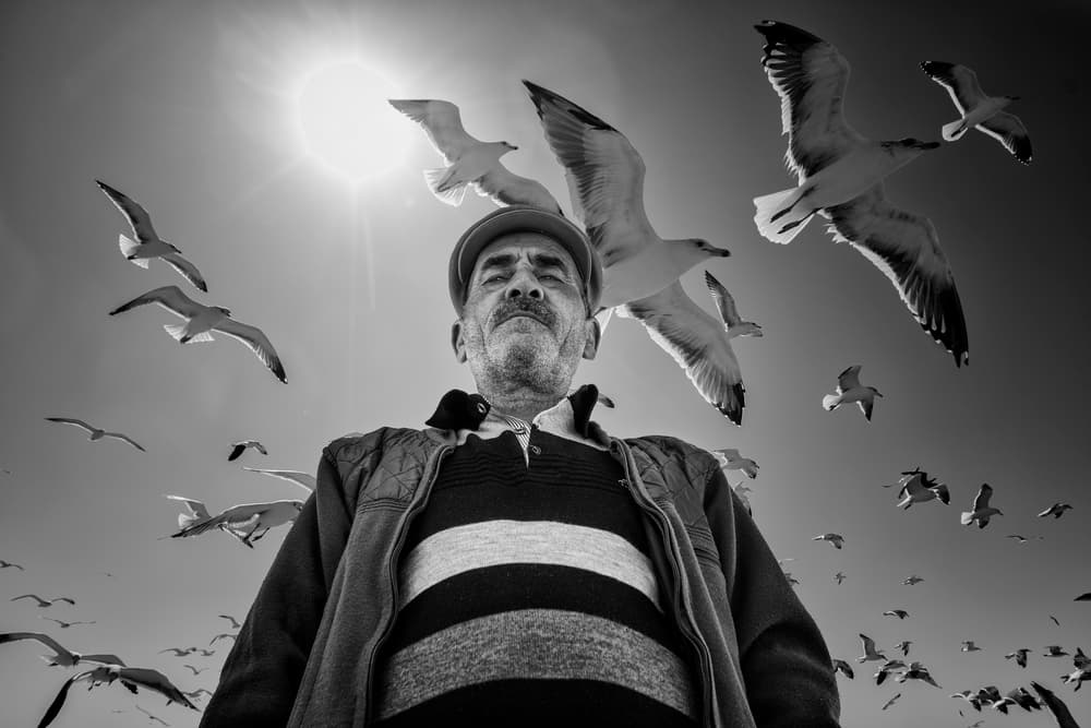 Man and Soaring Gulls by Haitham AL Farsi — canvas wall art