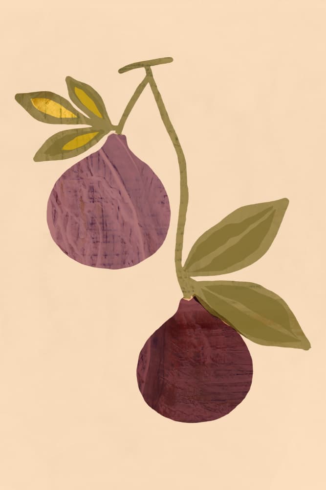 Ripe Purple Figs by cartissi — canvas wall art