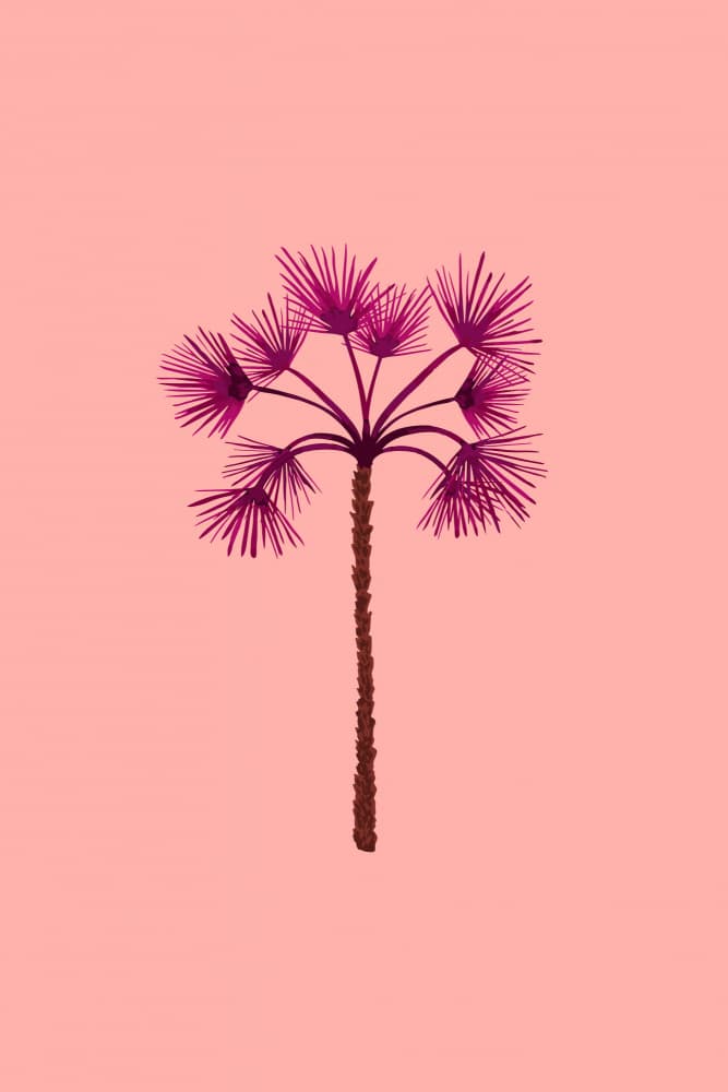 Vibrant Pink Palm Tree by Karen Menzenbach — canvas wall art