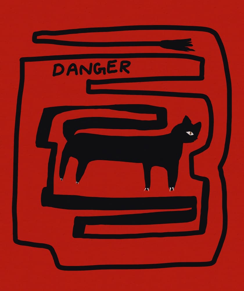 Danger Black Cat by Josie George — canvas wall art