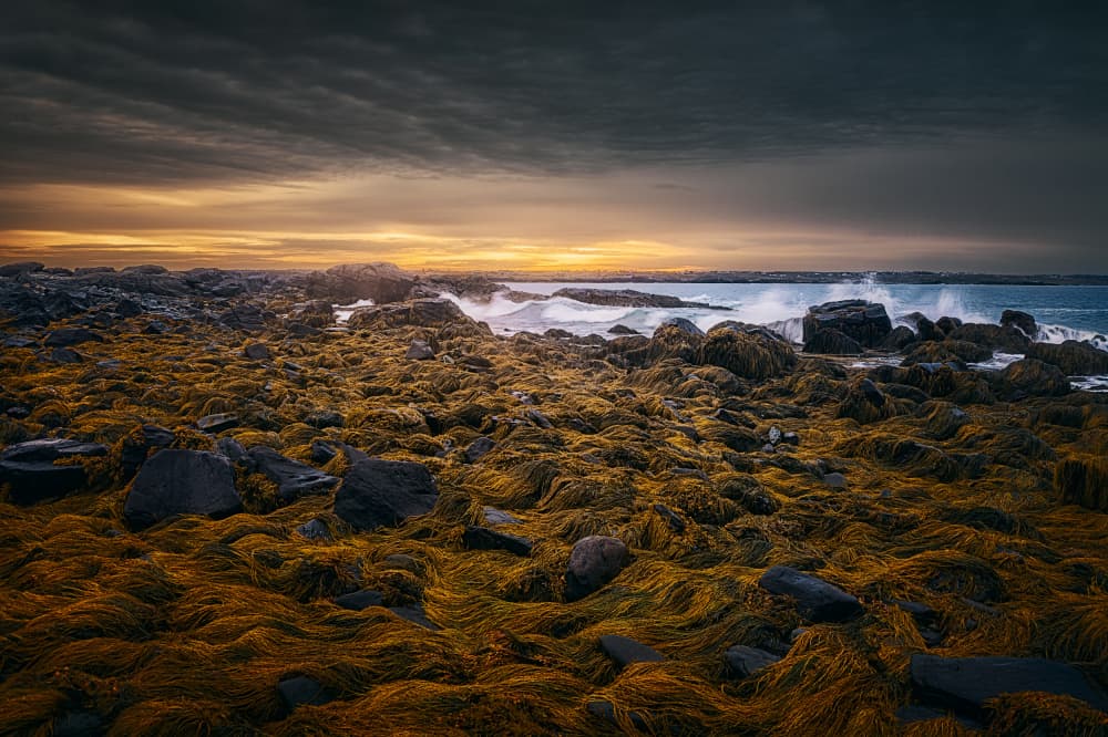 Dramatic Coastal Sunset by Ben.C.L — canvas wall art