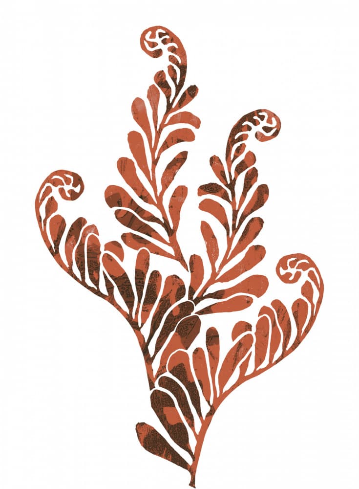 Earthy Botanical Ferns by Melissa McKeagney — canvas wall art