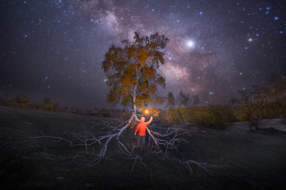 Man Under Milky Way Tree by Simoon — canvas wall art