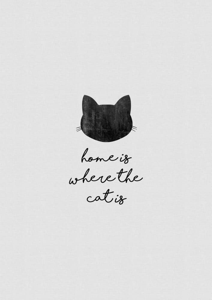 Black Cat Home Quote by Orara Studio — canvas wall art