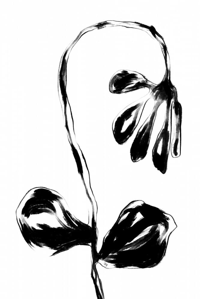 Curved Ink Flora by Martina — canvas wall art