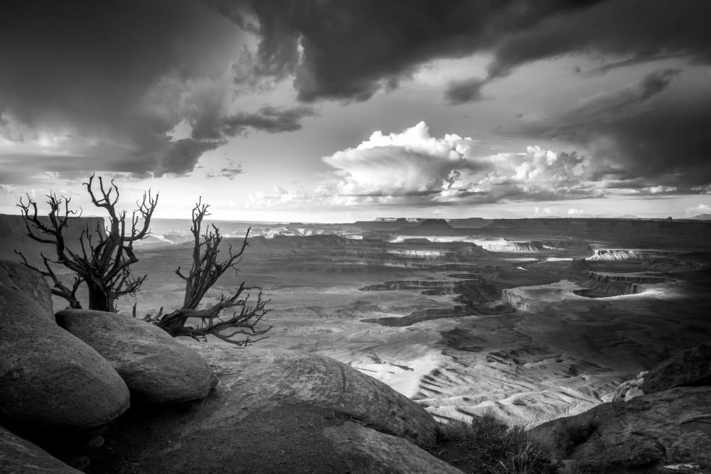 Dramatic Canyon Vista by Christoph Schaarschmidt — canvas wall art
