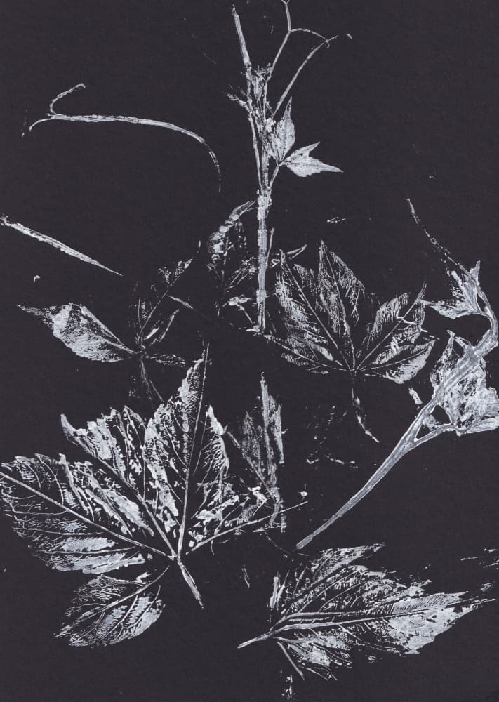 White Leaves on Black by Maira Ribena — canvas wall art