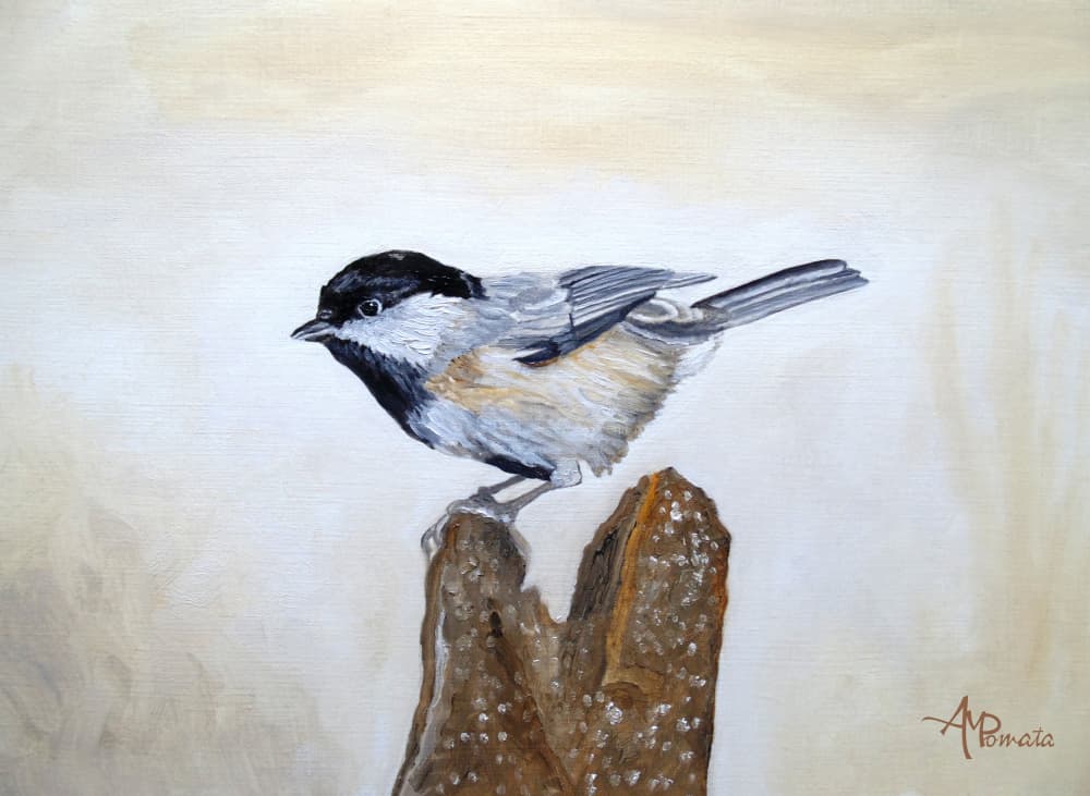 Chickadee On Wood Stump by Angeles M. Pomata — canvas wall art
