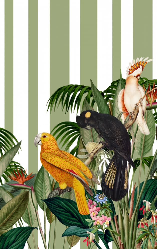 Vibrant Jungle Parrots by Marja van den Hurk — canvas wall art