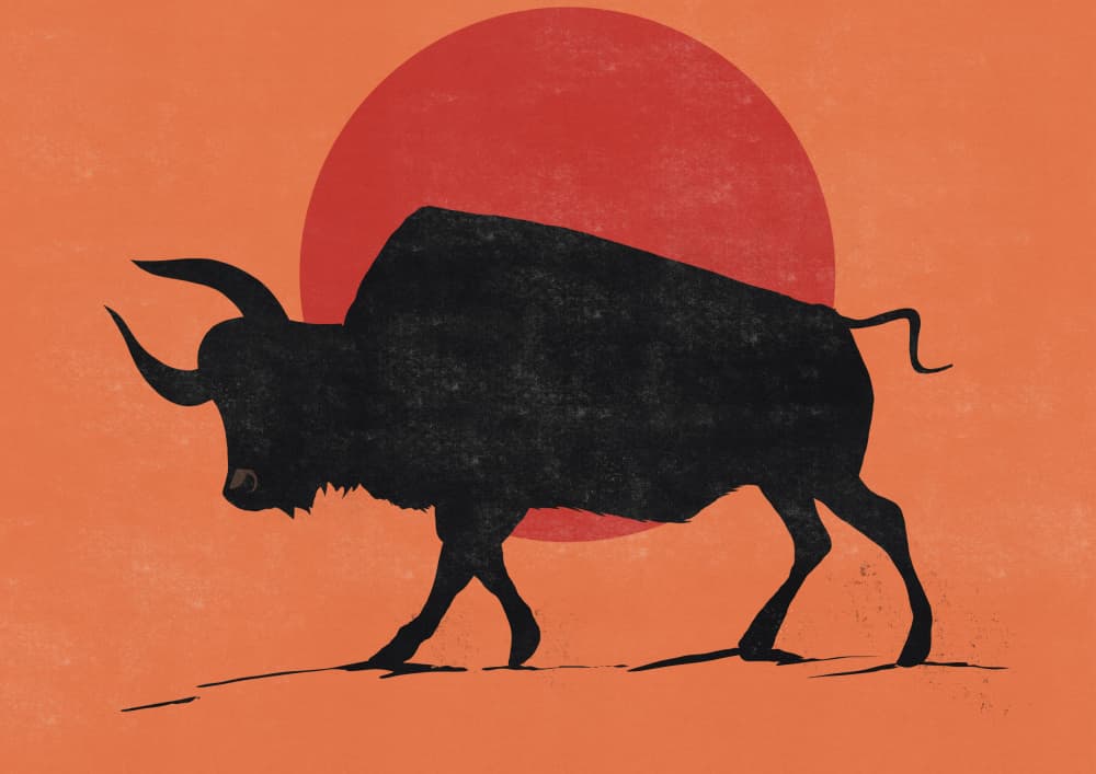 Black Bull Sunset