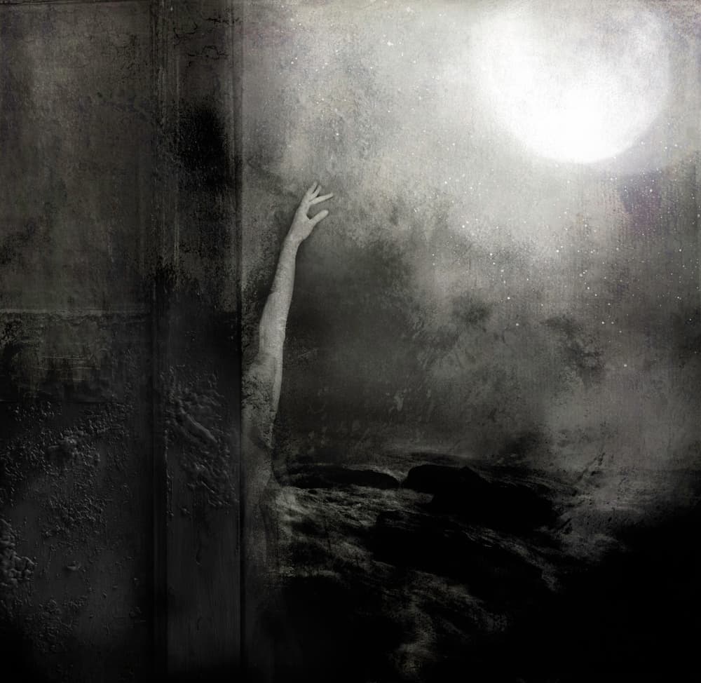 Reaching for the Moon by Rachel Pansky — canvas wall art