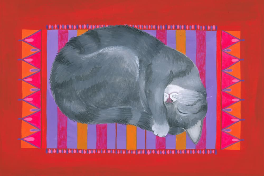 Dreaming Cat On Mat by Isabelle Brent — canvas wall art