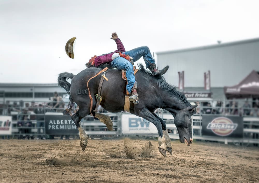 Cowboy Bronc Ride by Larry Deng APA — canvas wall art