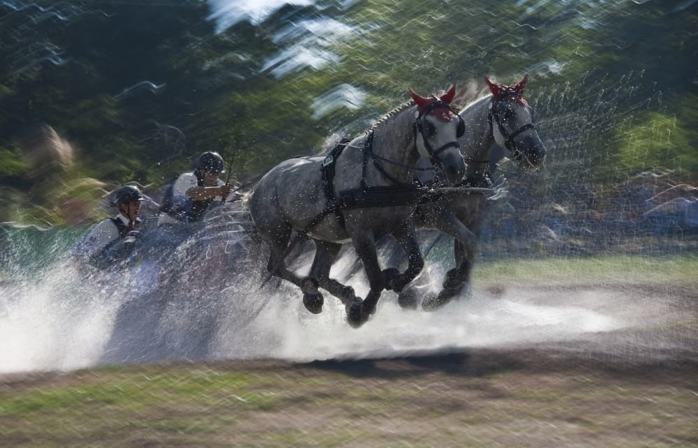 Horses Racing Through Water by Milan Malovrh — canvas wall art