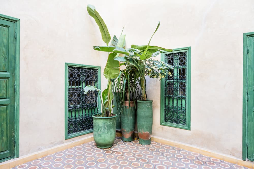Moroccan Courtyard Garden by Photolovers — canvas wall art