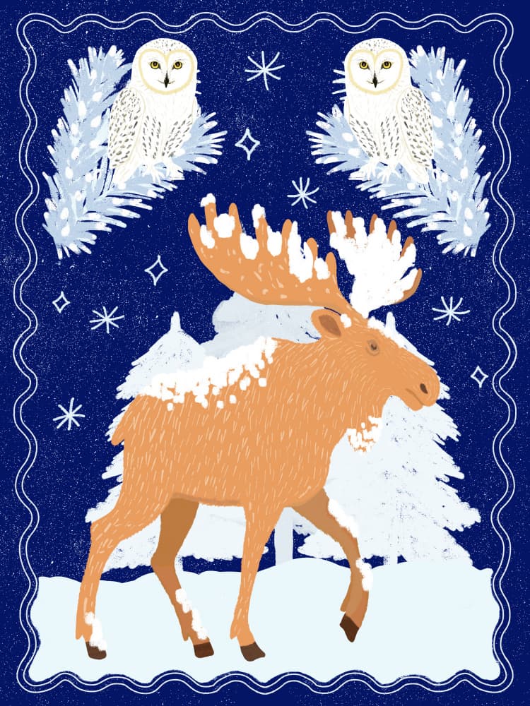 Moose and Snowy Owls by Aliya Putrus — canvas wall art