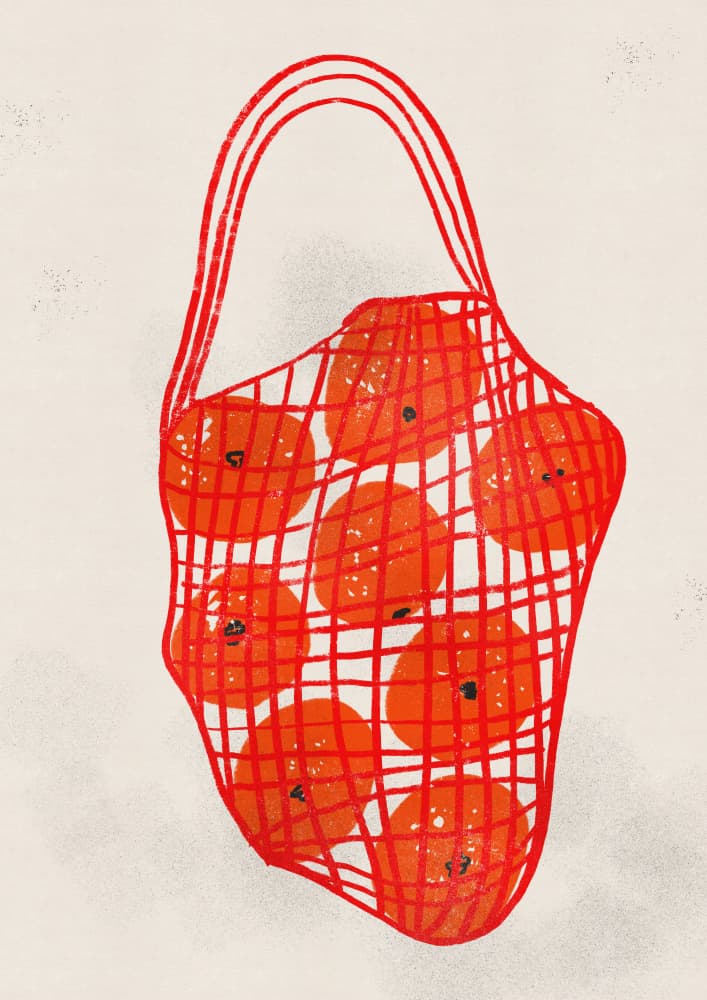 Vibrant Orange Mesh Bag