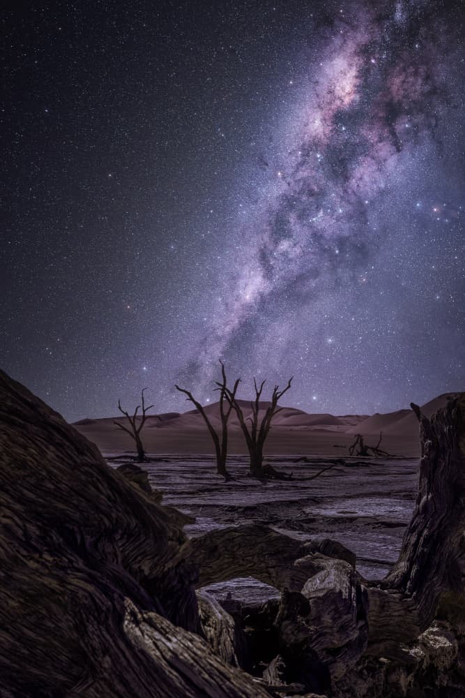 Milky Way Desert Night by joanaduenas — canvas wall art