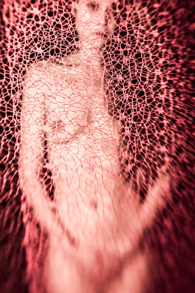 Abstract Red Body by Bogdan Bouşcă — canvas wall art