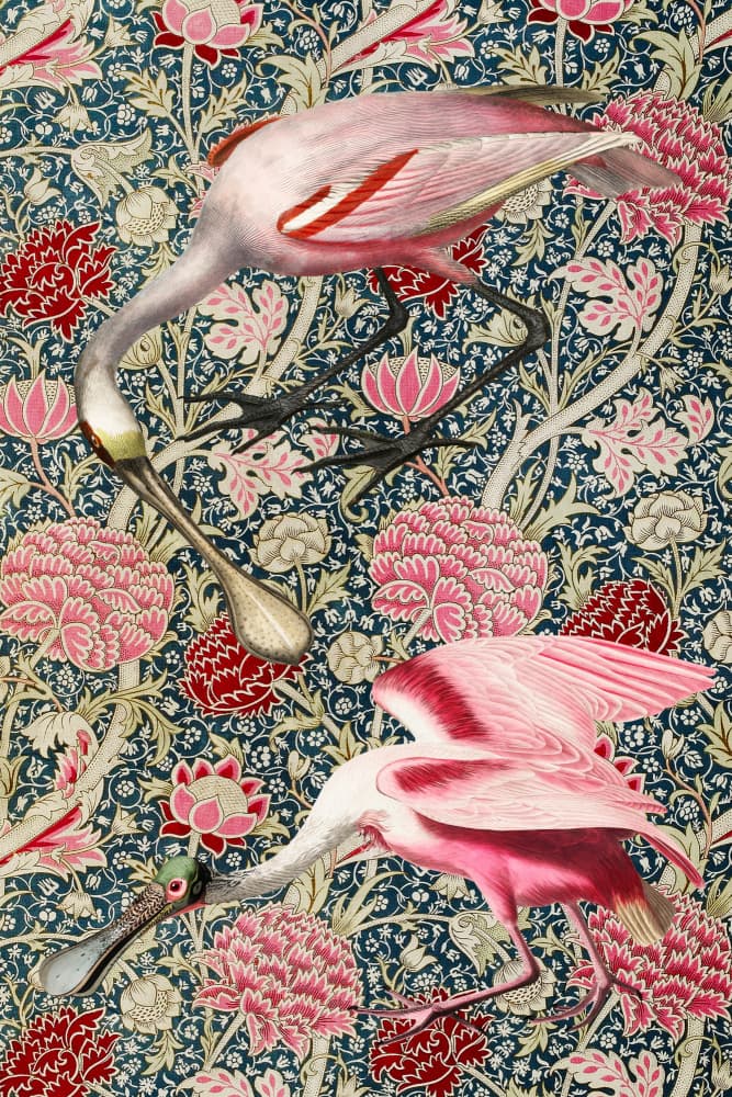 Roseate Spoonbills Botanical by Marja van den Hurk — canvas wall art