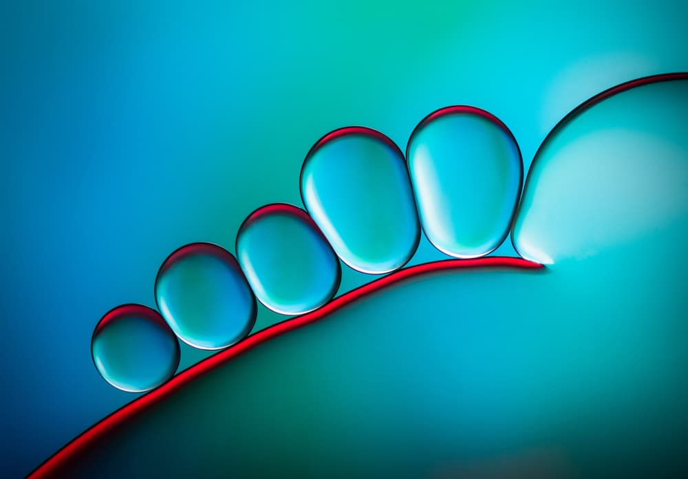 Aqua Fluid Forms by Jacqueline Hammer — canvas wall art