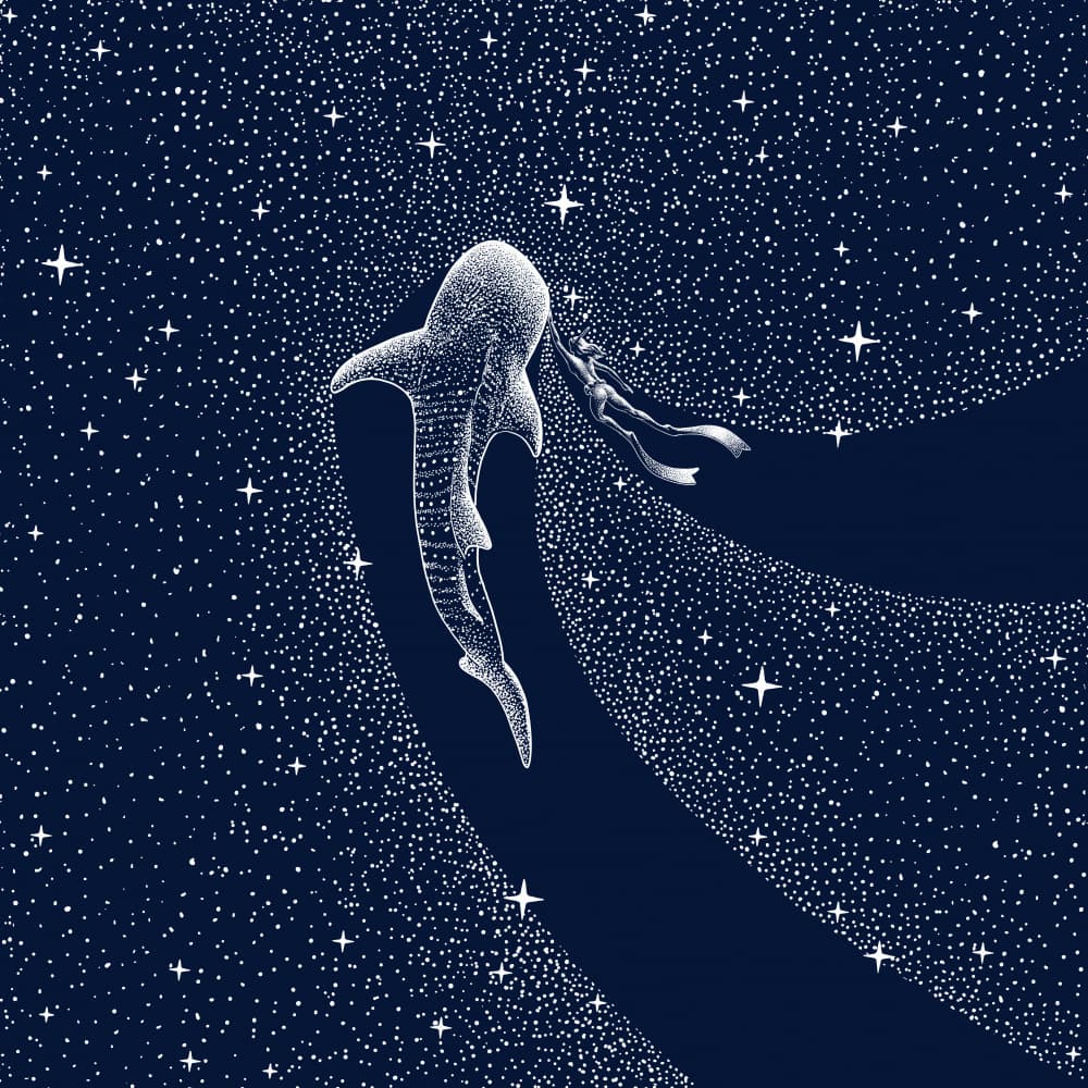 Whale Shark Galaxy Journey by Alirıza ÇAKIR — canvas wall art