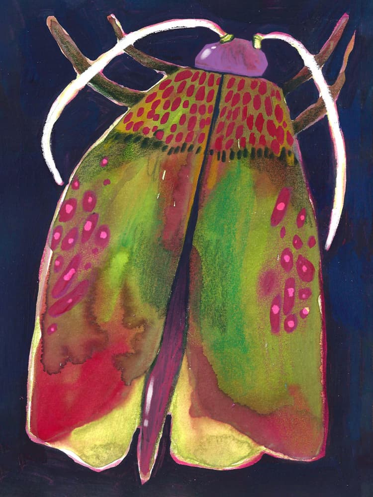 Moth by Olga Skomorokhova — canvas wall art