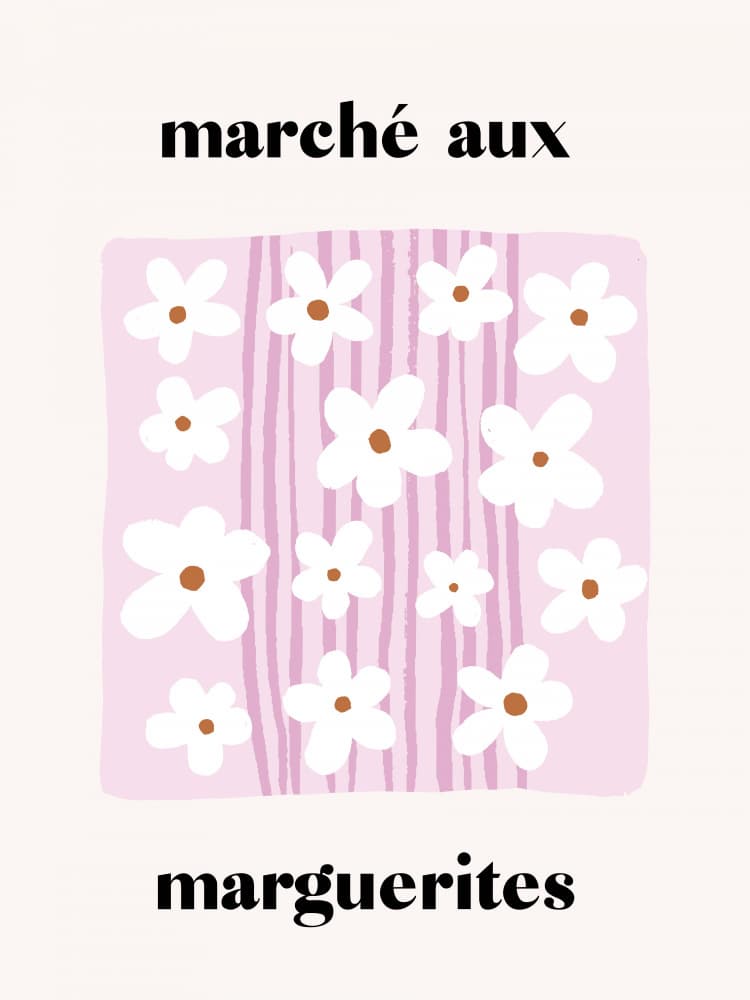Pink Daisy Market by Aislinn Simmonds — canvas wall art