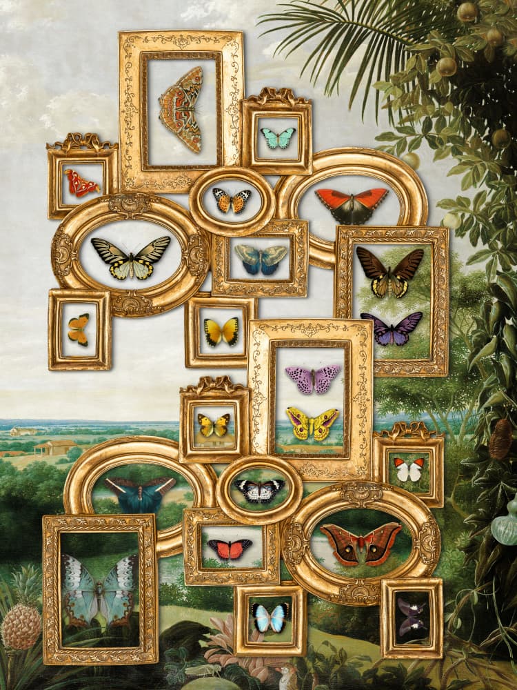 Golden Framed Butterflies by Marja van den Hurk — canvas wall art