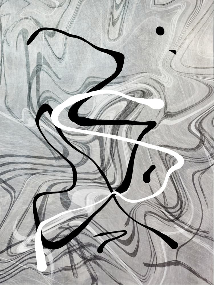 Fluid Monochrome Motion by Sannel Larson — canvas wall art